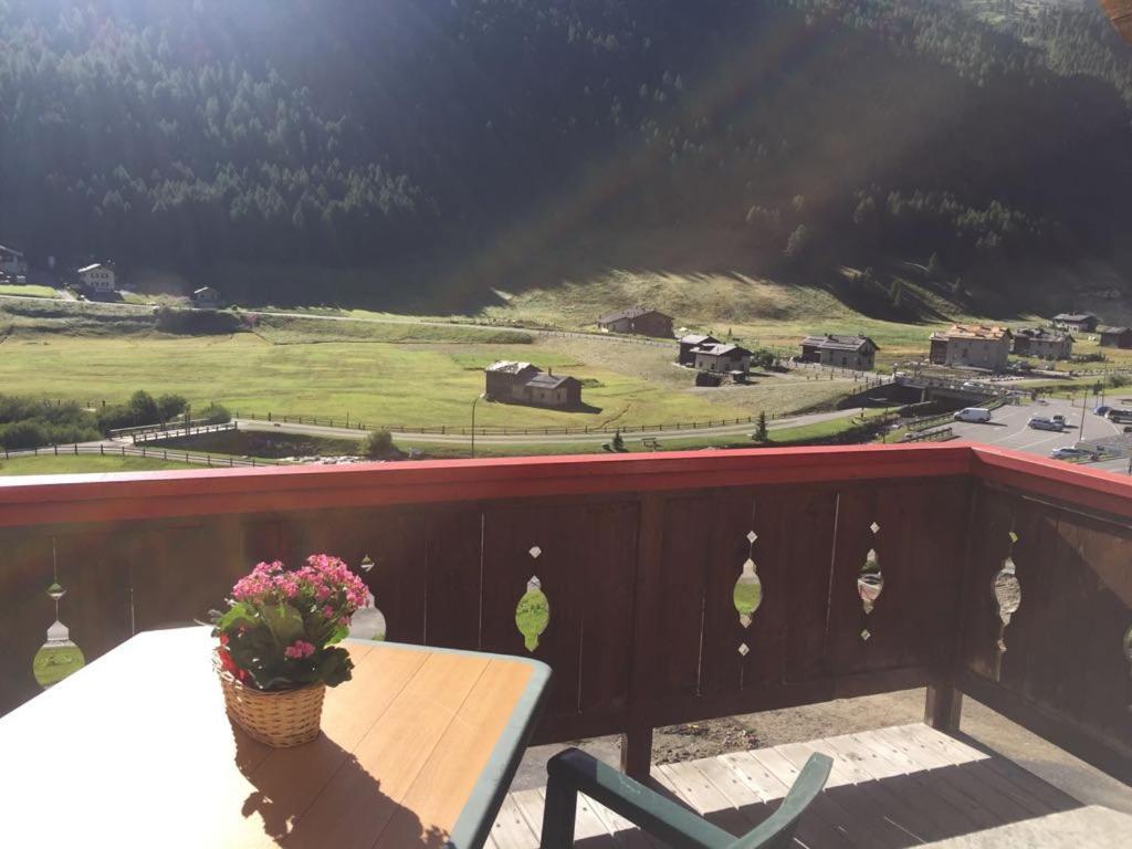 Gardenia Dog-friendly Appartement